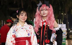 Lễ hội Việt Nam - Nhật Bản hút hàng ngàn du khách tại Đà Nẵng