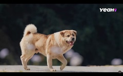 Gặp gỡ thế giới động vật đáng yêu trong Gia đình Haha