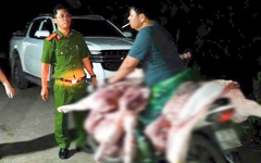 Đường dây thu gom heo bệnh mỗi ngày giết mổ hơn 50 con tuồn ra chợ, nhà hàng ở Hà Nội