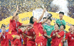 Giải U23 Đông Nam Á 2025