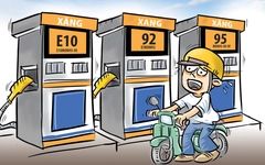 Tài xế tự tin trước cây xăng E10