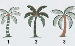 Quiz: Bạn thông minh não trái hay não phải?