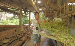 Ái Phương có trải nghiệm cào nghêu khó quên với Gia đình Haha