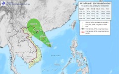 Dự báo đường đi của áp thấp nhiệt đới