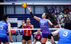 Trực tiếp giao hữu bóng chuyền nữ 17-8: Việt Nam - Tây Ban Nha
