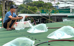 Bão số 5 tới gần, người dân nhiều tỉnh miền Trung đồng loạt triển khai biện pháp ứng phó