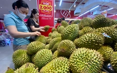 Sầu riêng xuất khẩu sang Trung Quốc bị trả về sẽ phải kiểm tra chất vàng O