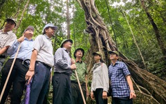 Đánh thức Kon Ka Kinh, đưa du khách tới 'núi vàng'
