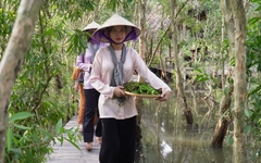 Phục dựng làng rừng U Minh, nức lòng du khách
