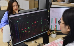 Quỹ cổ phiếu rút ròng mạnh nhất hơn 2 năm, vẫn miệt mài 'gom' một loạt mã