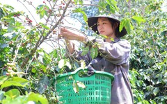 Gương mặt học bổng Vì tương lai Việt Nam: Con cứ yên tâm học, mọi chuyện để cha lo!