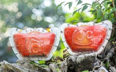 Độc đáo giống bưởi đỏ 'tiến vua' được tạo hình thỏi vàng phục vụ Tết 2026