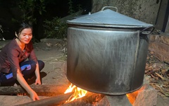 Mái ấm ngày xuân