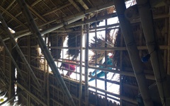 Mái ấm ngày xuân