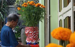 Mái ấm ngày xuân