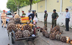 Công an TP.HCM xử phạt nhiều trường hợp buôn bán, để xe trên vỉa hè, lòng đường