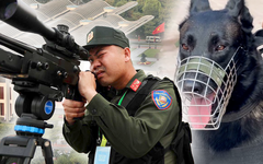 Đặc nhiệm bắn tỉa trên điểm cao và chó nghiệp vụ bảo vệ Đại hội Đảng lần thứ XIV