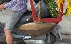 Người miền Tây giúp 'giải cứu' cúc mâm xôi Sa Đéc, chợ Lách nở sớm