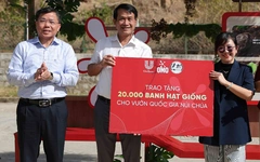 Hành trình một triệu cây: Từ Núi Chúa đến khắp Việt Nam