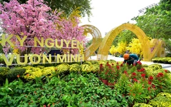 Khu đất nhà thi đấu Phan Đình Phùng đã thành công viên ngập tràn sắc hoa