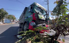 Ô tô tải tông 2 xe dừng đèn đỏ, làm chết 3 con bò, gãy một trụ đèn mới dừng lại