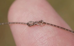 Trung Quốc làm chip co giãn như sợi chỉ, hứa hẹn làm thế giới choáng ngợp