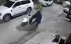 Video hài nhất tuần qua: Đi SH trộm cây kiểng bị 'nghiệp quật'