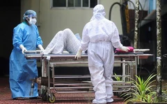 Bộ Y tế yêu cầu cách ly nghiêm ngặt ca nghi nhiễm hoặc xác định mắc vi rút Nipah