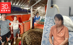 Bản tin 30s nóng: Triệt phá đường dây ngâm 3.000 tấn ốc bằng hóa chất; Bắt người trộm thiên nga
