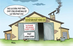 Loại thực phẩm càng phạt càng dùng chất cấm