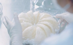 'Vàng trắng' sinh thái: Lợi thế cạnh tranh mới của Cần Giờ