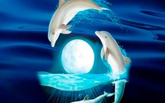 Quiz: Bạn sở hữu tố chất lãnh đạo bẩm sinh hay là người nhạy cảm