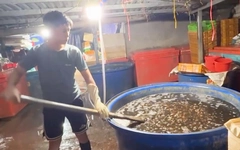 Cơ sở ngâm 3.000 tấn ốc bươu với 'thủy tinh lỏng' hoạt động tinh vi ra sao?