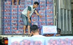 Nông sản khó thông quan khi triển khai quy định mới: Bộ Y tế nói gì?