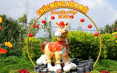 Lộ diện linh vật ngựa chào Tết Bính Ngọ 2026 tại Đắk Lắk