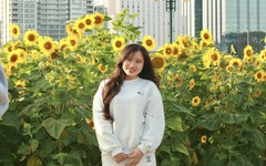 Vườn hoa hướng dương rực vàng bên bờ sông Sài Gòn, hút khách check in