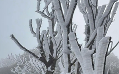 Thời tiết hôm nay 9-1: Bắc Bộ rét 5 độ C, Nam Bộ buổi sáng cũng dưới 20 độ C