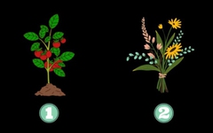 Quiz: Bạn đang ở giai đoạn nào của hành trình chăm sóc bản thân