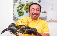 ‘Vua cua’ được trao chứng nhận xác lập kỷ lục cua lớn nhất Việt Nam