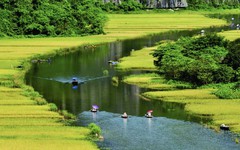 Ninh Bình tổ chức 5 điểm bắn pháo hoa trong đêm giao thừa 