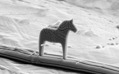 Ngựa Dala nhỏ nhất thế giới, chỉ bằng 1/10 sợi tóc người