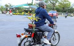 Người dân Đà Nẵng rộn ràng chở mùa xuân về nhà