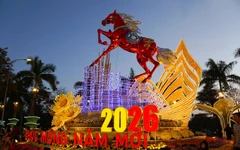 Ngựa đỏ tung vó, ngựa kéo xe hoa tại Đắk Lắk hút khách tham quan