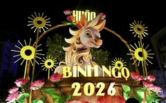 Đường hoa xuân Cần Thơ thu hút hàng trăm lượt khách đêm khai mạc