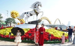 Linh vật ngựa của Đà Nẵng vừa trình làng đã nườm nượp người chiêm ngưỡng