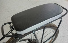 Bài tham dự sân chơi viết Chuyến xe mùa xuân: Sau yên xe đạp của chú