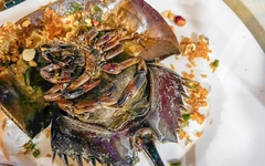 Ra quán kêu con sam, 3 người ăn nghi bị ngộ độc con so