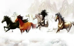 Vì sao 'Mã đáo thành công' thường đi cùng hình ảnh 8 chú ngựa?