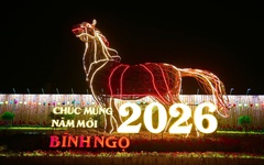 TP.HCM mở cửa nhiều công viên công cộng đón khách dịp Tết Bính Ngọ