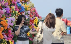 Đại cảnh 'Mã đáo thành công' hút khách du lịch đến mùng 5